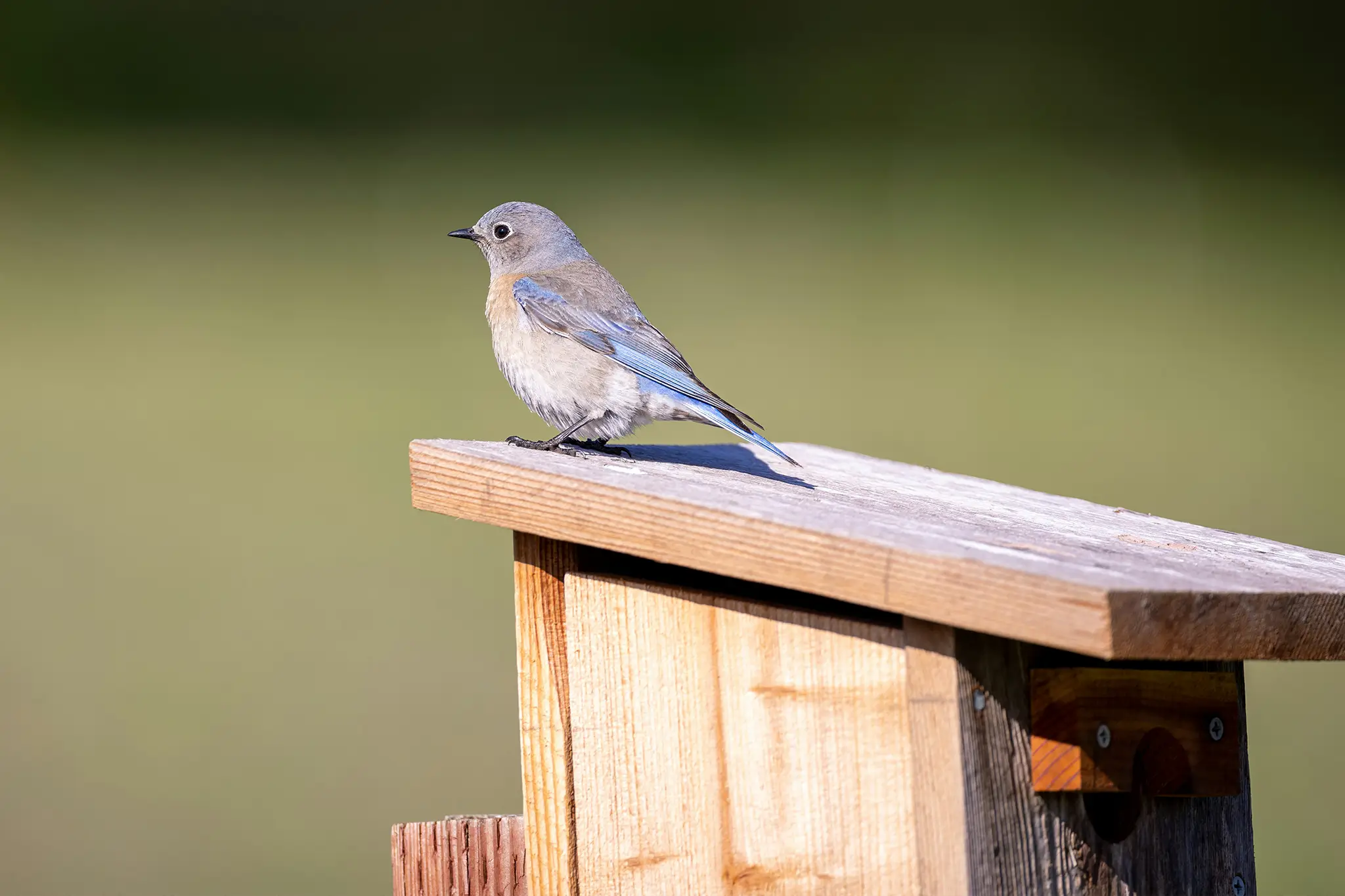 Markden Homes Supporting Local Wildlife For World Habitat Day